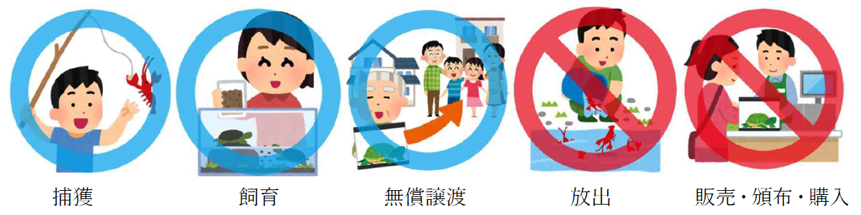 規制内容