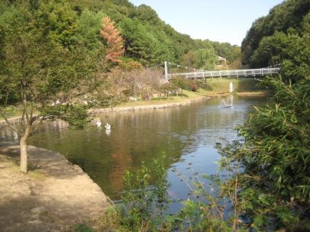 池を渡る白い橋がある緑に囲まれたふれあいの森公園の写真