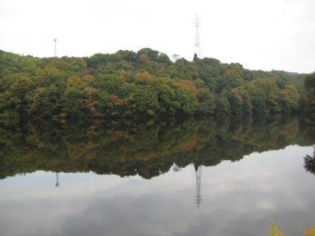 緑や茶色の木々が水面に映っている大谷池の写真