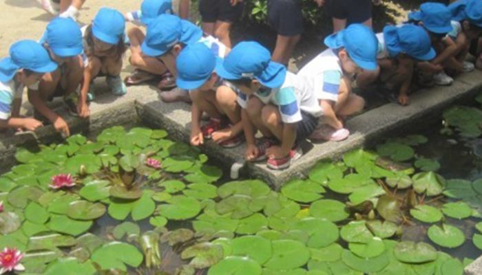 園児複数人が蓮が浮いた池の縁に座り、池を眺める様子