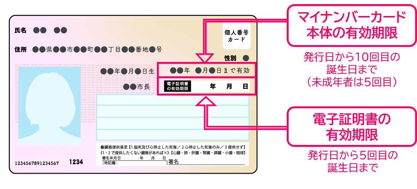 マイナンバーカードの有効期限記載箇所
